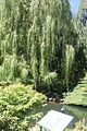 122 - Butchard Gardens  - IMG_1619